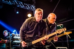 The Stranglers, Head for the Hills, Andrew Allcock