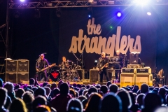 The Stranglers, Head for the Hills, Andrew Allcock