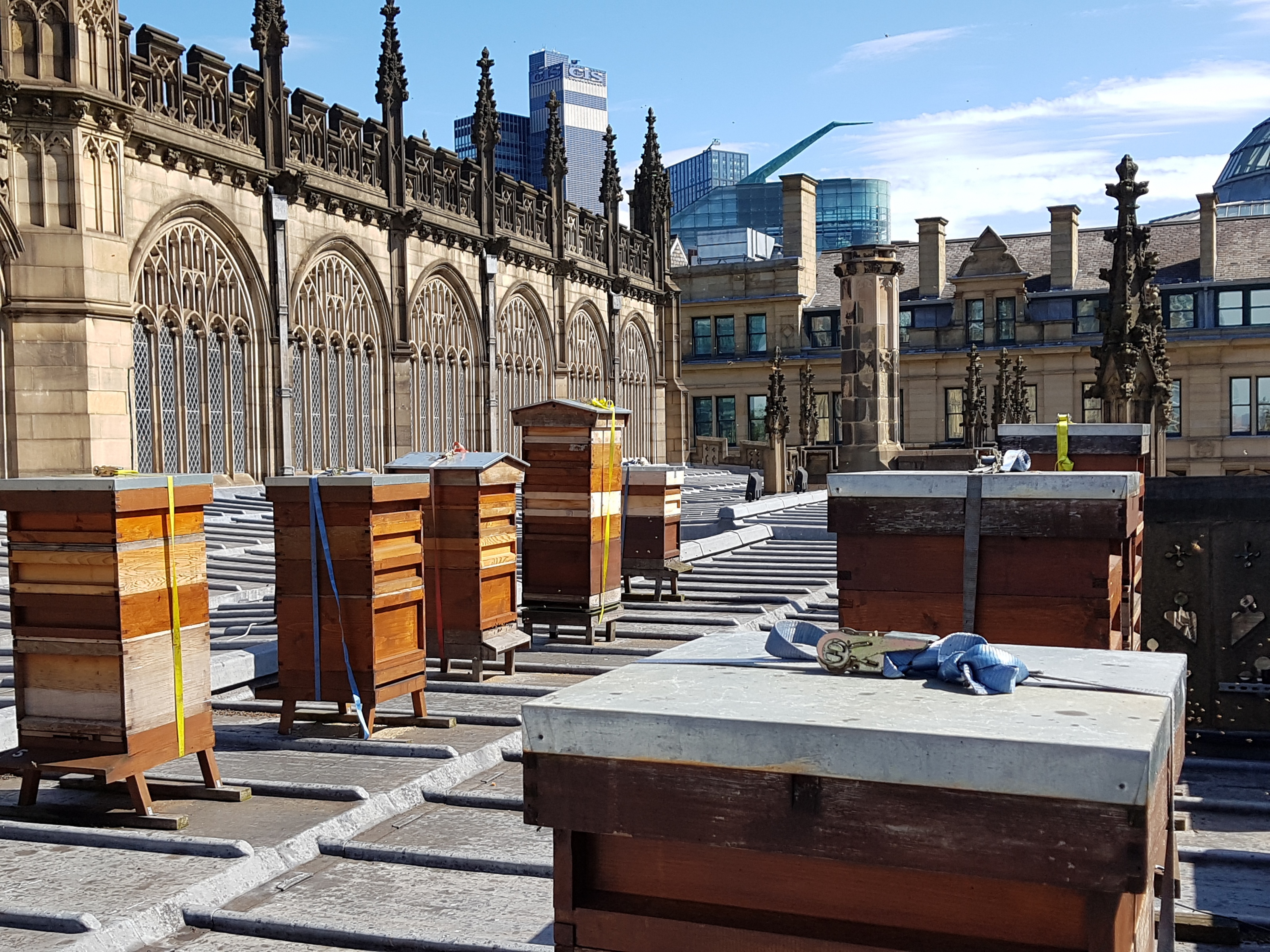 Beehives on Manchester Cathedral roof by Chris Holmes