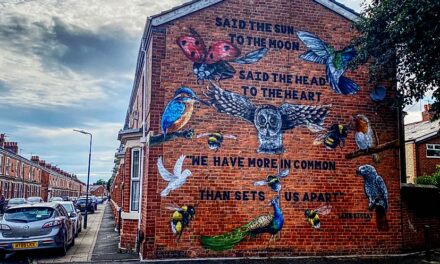 The North-South Cultural Divide