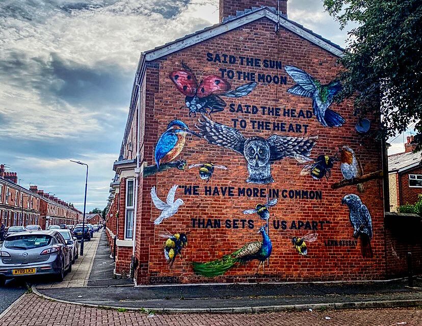 The North-South Cultural Divide