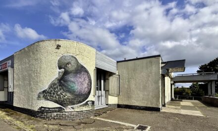 ‘strolling rather than scrolling’ Commonplace, the modernist, Manchester