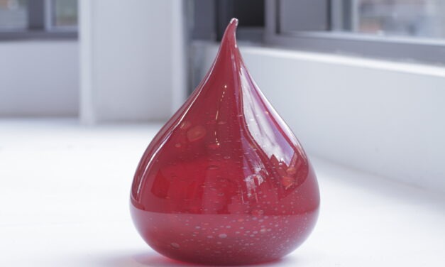 ‘the hope of healing’ Broken Ecologies, Castlefield Gallery, Manchester