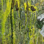 ‘visceral energy’ Out Here, Castlefield Gallery, Manchester