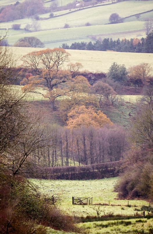 Clay Bank Valley