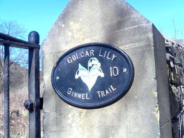 Oh my, there's a Ginnel Trail in Golcar, West Yorkshire, image by Jane Emanuel