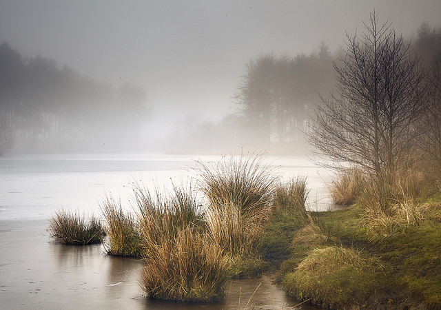 Cod Beck - Misty lake